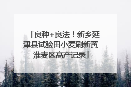 良种+良法！新乡延津县试验田小麦刷新黄淮麦区高产记录