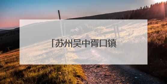 苏州吴中胥口镇：“一老一小”共享浓情端午