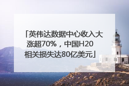英伟达数据中心收入大涨超70%，中国H20相关损失达80亿美元