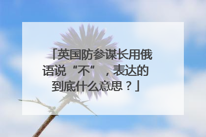 英国防参谋长用俄语说“不”，表达的到底什么意思？