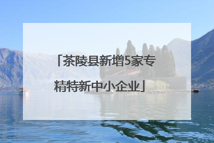 茶陵县新增5家专精特新中小企业