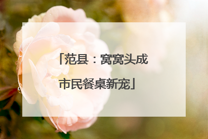 范县：窝窝头成市民餐桌新宠
