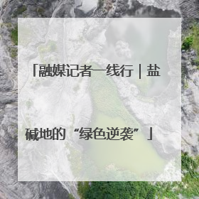 融媒记者一线行｜盐碱地的“绿色逆袭”