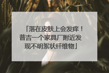 落在皮肤上会发痒！普吉一个家具厂附近发现不明絮状纤维物