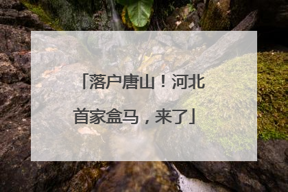 落户唐山！河北首家盒马，来了