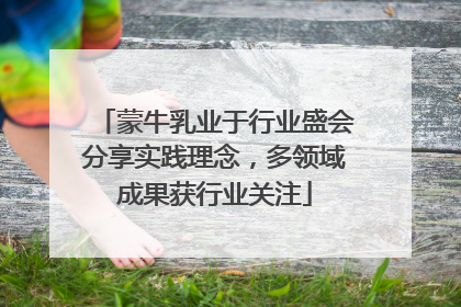 蒙牛乳业于行业盛会分享实践理念，多领域成果获行业关注