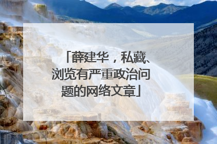 薛建华，私藏、浏览有严重政治问题的网络文章