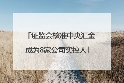 证监会核准中央汇金成为8家公司实控人