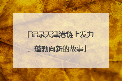 记录天津港链上发力、蓬勃向新的故事