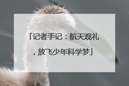 记者手记：航天观礼，放飞少年科学梦