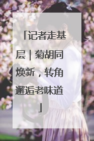 记者走基层｜菊胡同焕新，转角邂逅老味道
