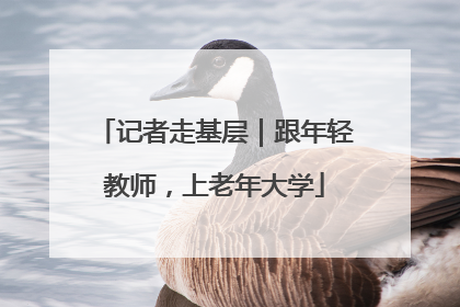记者走基层｜跟年轻教师，上老年大学