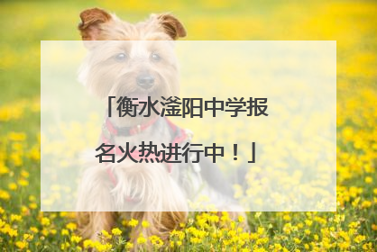 衡水滏阳中学报名火热进行中！