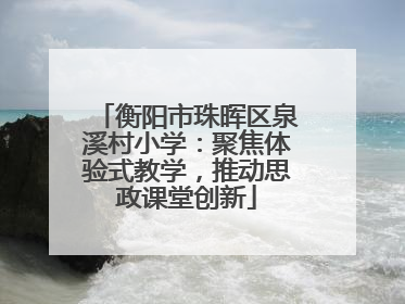 衡阳市珠晖区泉溪村小学：聚焦体验式教学，推动思政课堂创新
