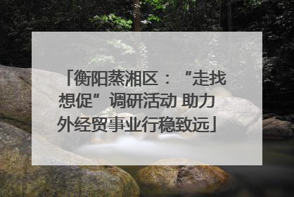 衡阳蒸湘区：“走找想促”调研活动 助力外经贸事业行稳致远