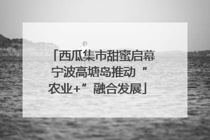 西瓜集市甜蜜启幕 宁波高塘岛推动“农业+”融合发展