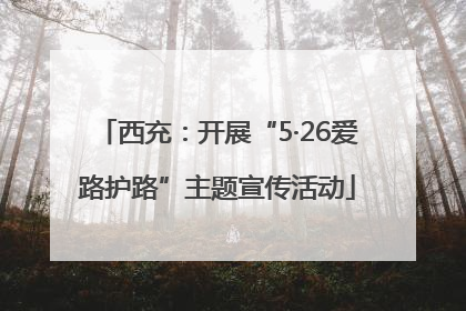 西充：开展“5·26爱路护路”主题宣传活动