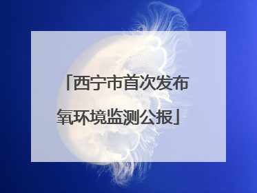 西宁市首次发布氧环境监测公报