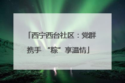 西宁西台社区：党群携手 “粽”享温情