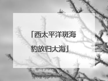 西太平洋斑海豹放归大海