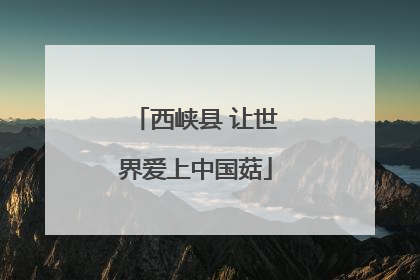 西峡县 让世界爱上中国菇