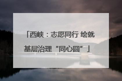 西峡：志愿同行 绘就基层治理“同心圆”