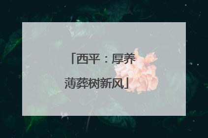 西平：厚养薄葬树新风