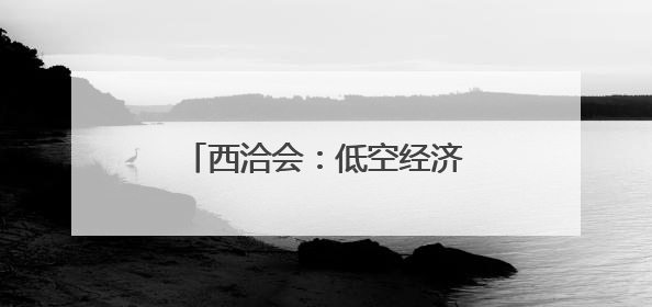 西洽会：低空经济展商引关注(2)