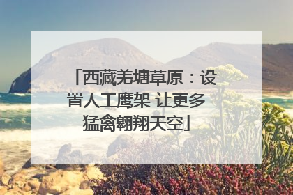 西藏羌塘草原：设置人工鹰架 让更多猛禽翱翔天空