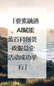 要素融通、AI赋能蓝谷科创荟·政服益企活动成功举行