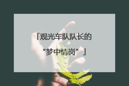 观光车队队长的“梦中情岗”