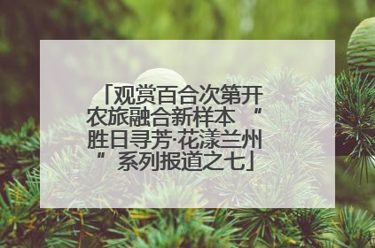 观赏百合次第开 农旅融合新样本 “胜日寻芳·花漾兰州”系列报道之七