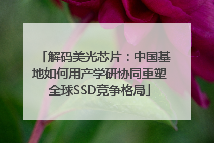 解码美光芯片：中国基地如何用产学研协同重塑全球SSD竞争格局