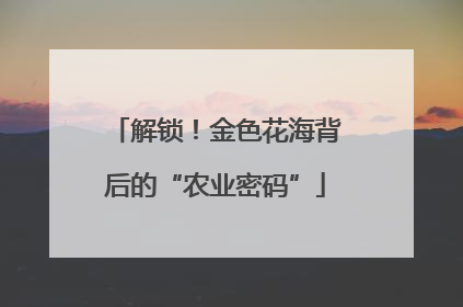 解锁！金色花海背后的“农业密码”