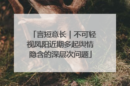 言短意长｜不可轻视凤阳近期多起舆情隐含的深层次问题
