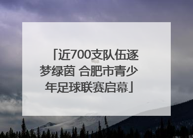 近700支队伍逐梦绿茵 合肥市青少年足球联赛启幕