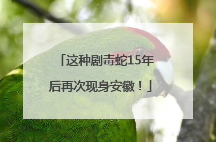 这种剧毒蛇15年后再次现身安徽！