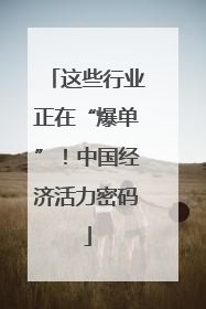 这些行业正在“爆单”！中国经济活力密码
