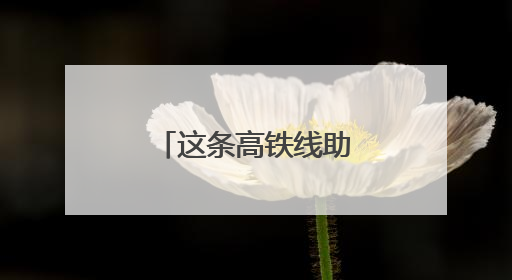 这条高铁线助力湖南与大湾区旅游往来升温