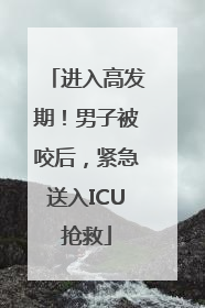 进入高发期！男子被咬后，紧急送入ICU抢救