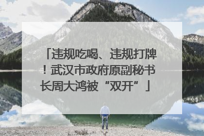 违规吃喝、违规打牌！武汉市政府原副秘书长周大鸿被“双开”