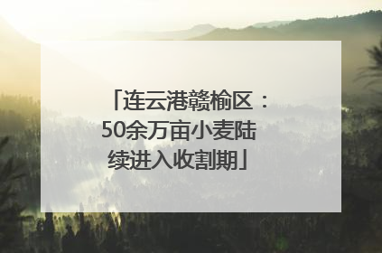 连云港赣榆区：50余万亩小麦陆续进入收割期