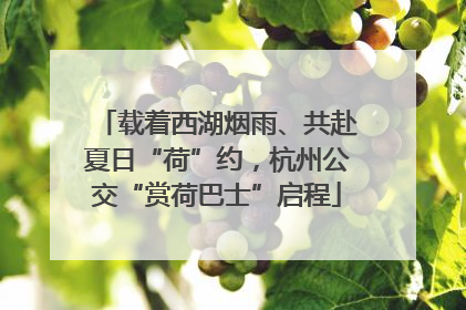 载着西湖烟雨、共赴夏日“荷”约，杭州公交“赏荷巴士”启程
