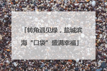 转角遇见绿，盐城滨海“口袋”盛满幸福