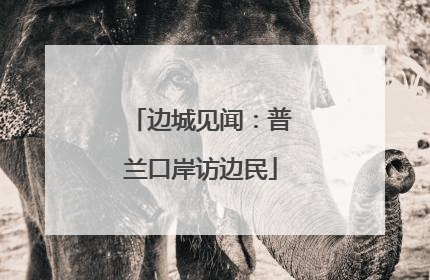 边城见闻：普兰口岸访边民