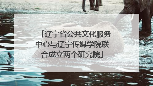辽宁省公共文化服务中心与辽宁传媒学院联合成立两个研究院