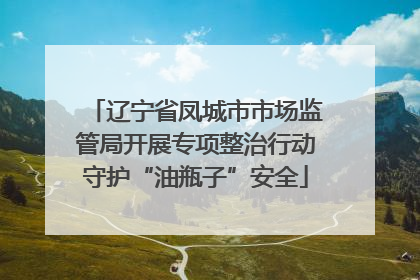 辽宁省凤城市市场监管局开展专项整治行动守护“油瓶子”安全