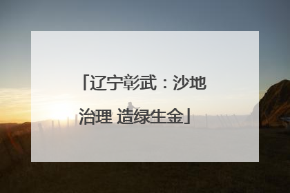 辽宁彰武：沙地治理 造绿生金