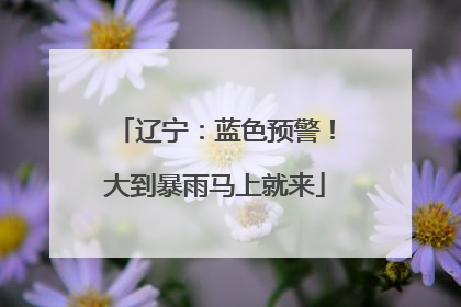 辽宁：蓝色预警！大到暴雨马上就来