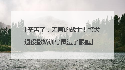 辛苦了，无言的战士！警犬退役撒娇训导员湿了眼眶